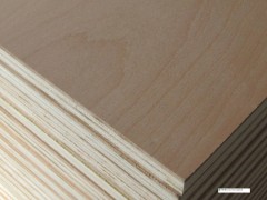 可定制 多層板 易加工和涂飾 量大從優(yōu)