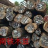大量供應 蘇里南鐵木豆 甘藍豆  大理石豆 瓦泰豆 依貝