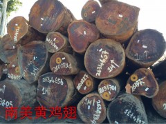 精品南美黃雞翅木 蛇歪漆木 碳化木 甘藍(lán)豆 大理石豆