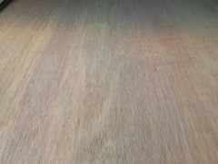 精品PA板皮 甲面 二面 整張 次整張 各種規格 大量批發