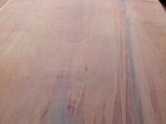 長期大量批發(fā) PA板皮甲面整張 次整張 丁眼厚度20-30絲