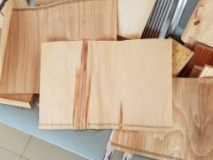 精品木皮批發(fā) 各種規(guī)格 尺寸 櫸木木皮 長(zhǎng)期大量批發(fā)