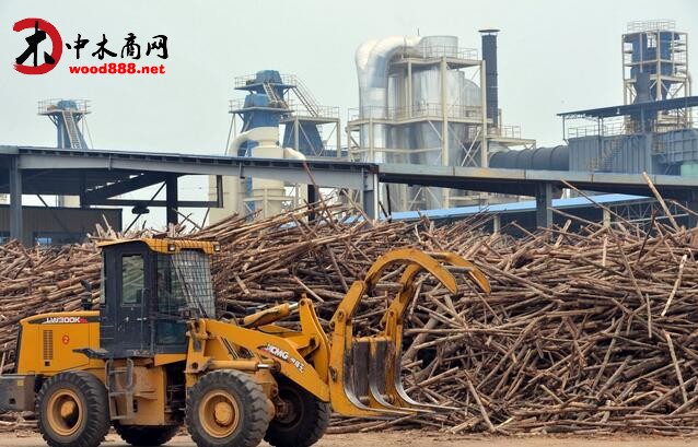 中國與東盟林業合作提速 貿易額已達318億美元