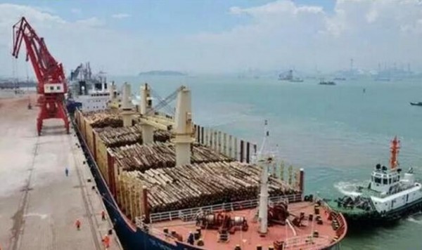 全球木業掃描：海陸運費齊上漲，木材市場很受傷