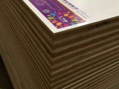精品 生態實木厚芯板，金衫木生態板 鴻運樹生態板等大量批發