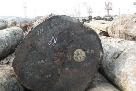 木材市場深度觀察：行情紛紛好轉，奧坎價格漲幅比較大