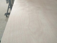 多層板 包裝版 家具板 基板首選商家臨沂豐苑木業(yè)多層板廠