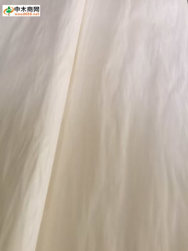 楊木木皮