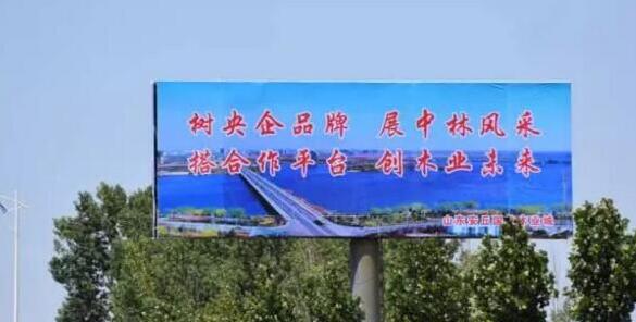 中林集團入駐安丘建山東比較大木業園區