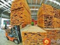 琿春市加快構建國際合作的木材縱向產業鏈