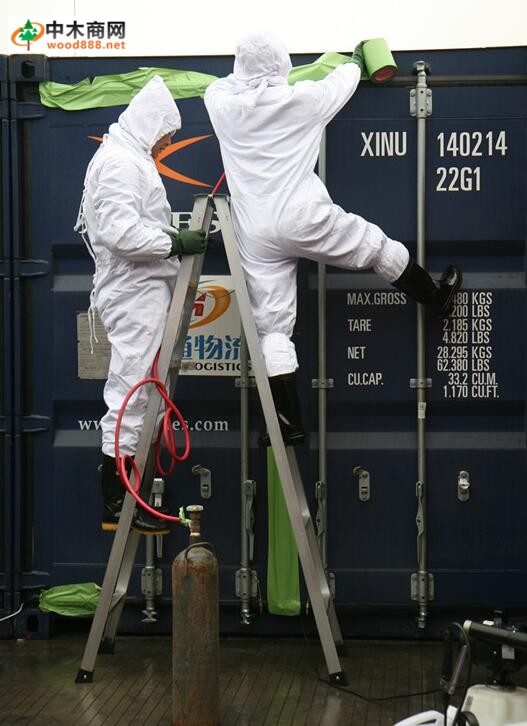 木材的非永久性免疫處理方法——熏蒸處理