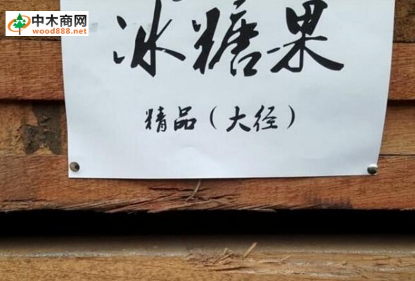 巴新材樹種資源概況