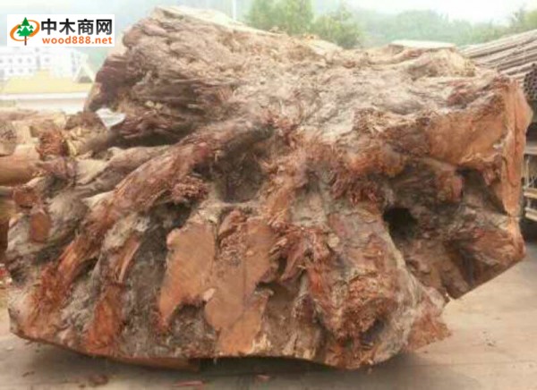 《紅木》國家標準將它們都列入了紅木范疇