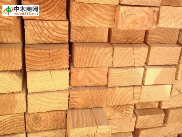 針葉材鋸材
