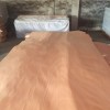 精品桃花心木皮尋求買家,規(guī)格可按客戶要求定制加工