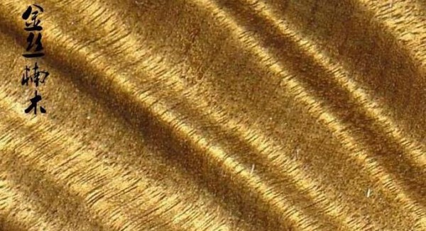 手把手教你辨識黃金樟和金絲楠木