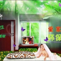 中國板材國內品牌精材藝匠與時代同步,與健康同行