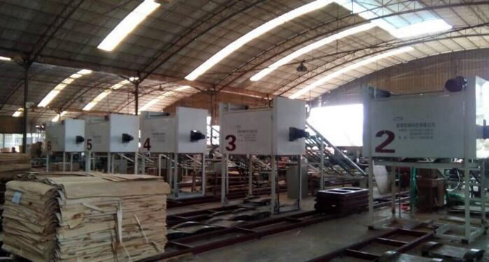 廣西國有博白林場萬林公司引進的6臺全自動疊板機