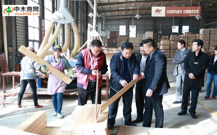 板材產(chǎn)業(yè)集群專業(yè)鎮(zhèn)：埇橋順河木業(yè)發(fā)展現(xiàn)狀