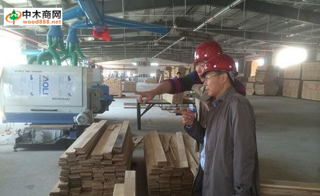 綏芬河國林木業城:“國林模式”,打造木業園區的新標桿