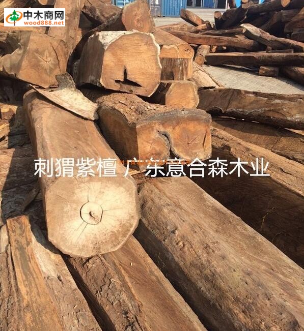 花梨木明年將無木可做，紅木市場蝴蝶效應開始