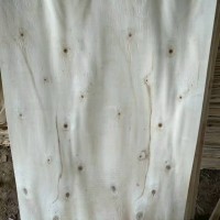 常年銷售大補(bǔ),大洞板,毛皮貨源充足.質(zhì)量有保障