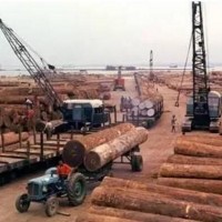 紅木原產(chǎn)國(guó)封關(guān)，價(jià)格暴漲40%且嚴(yán)重?cái)嘭洠蠹t酸枝論斤稱