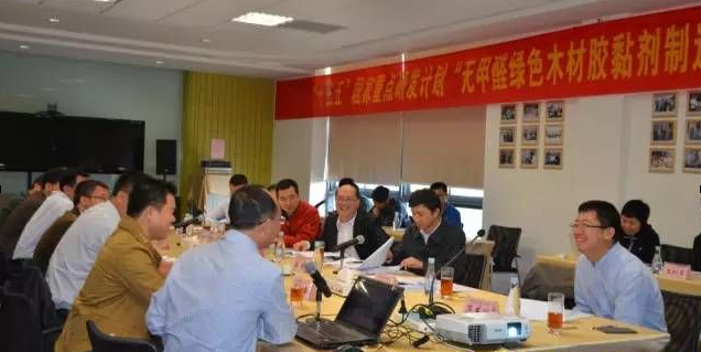 “無甲醛綠色木材膠黏劑制造關鍵技術研究”課題啟動會在豐林集團召開