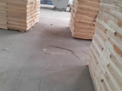 臨沂楊木木皮楊木單板楊木家具板廠家聯(lián)系方式明進木業(yè)聯(lián)系方式