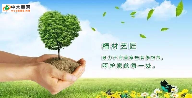 裝修,板材國內品牌精材藝匠只想給你用更好的！