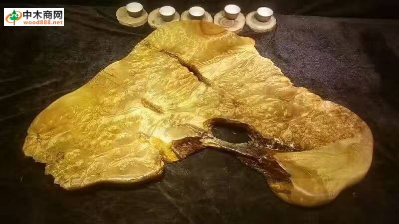 精雕黃金樟 精雕黃金樟