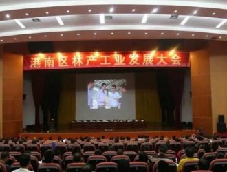 2016年港南區木材加工企業實現產值66億元 位居廣西第一