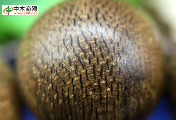 首屆全國沉香產業發展高峰論壇盛大召開 首屆全國沉香產業發展高峰論壇盛大召開
