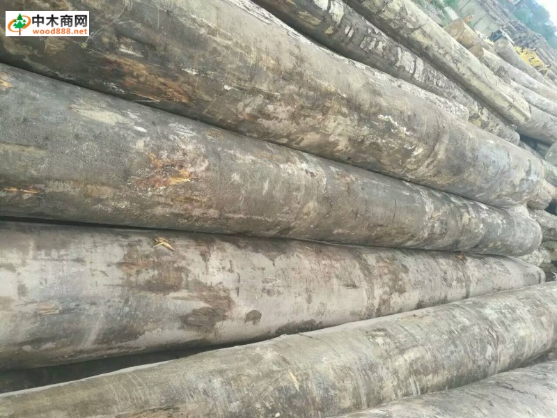 廠家直銷優(yōu)質(zhì)沙比利