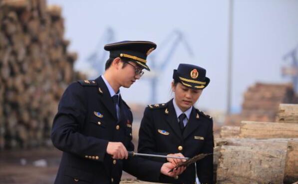 江蘇常熟局把關服務雙管齊下做好木材檢疫工作 江蘇常熟局把關服務雙管齊下做好木材檢疫工作