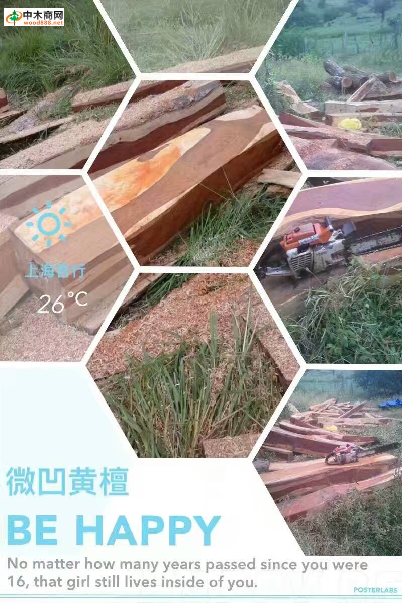 進口南美紅酸枝
