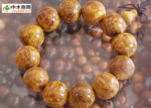 金絲楠保養