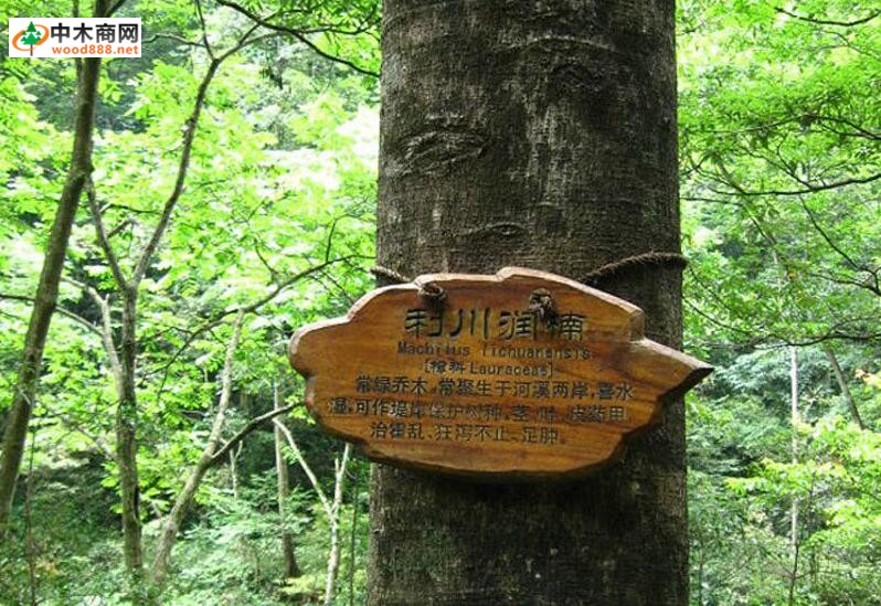 潤(rùn)楠