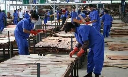 崇左市召開木材加工業(yè)發(fā)展座談會(huì) 全市木材企業(yè)達(dá)611家