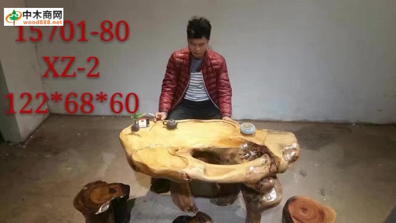 極品香樟木