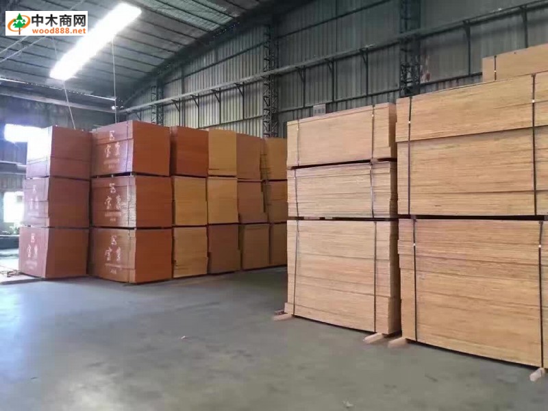 林動木方