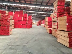 歐洲櫸木板材定尺料批發(fā)