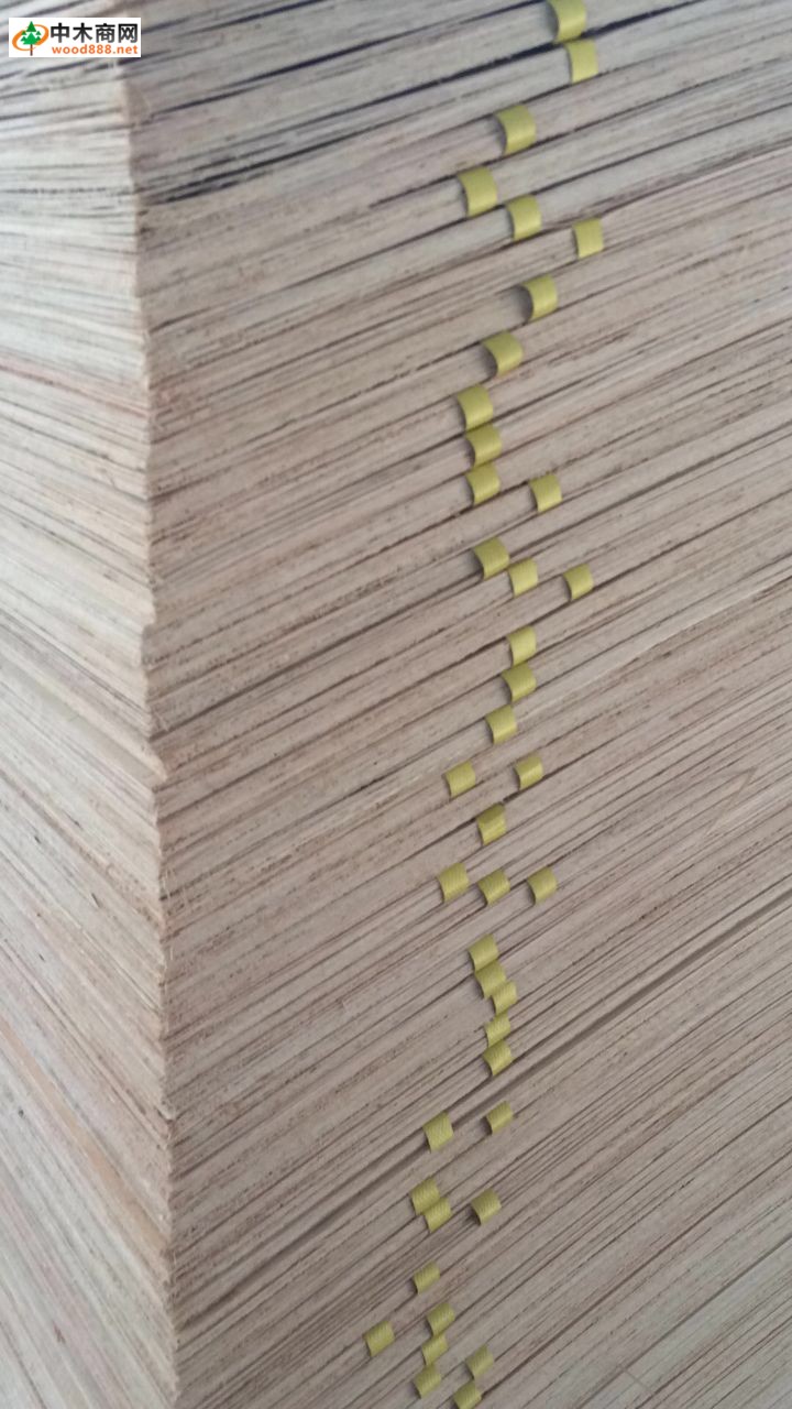 桉樹三合板
