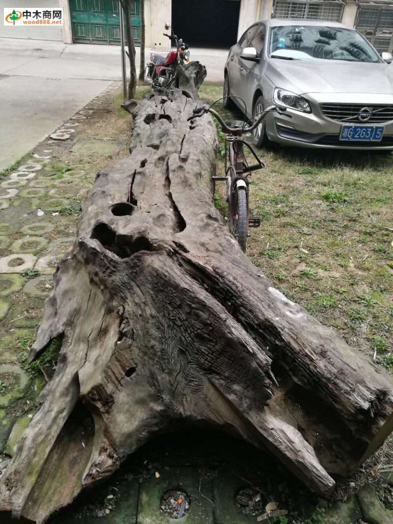 陰沉木