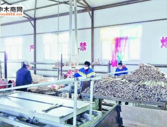 虎林市借助“俄羅斯森林工廠”壯大木材產(chǎn)業(yè)，讓產(chǎn)品熱銷全國