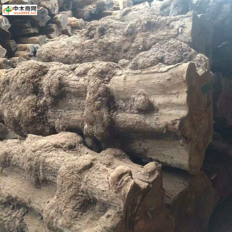 刺猬紫檀