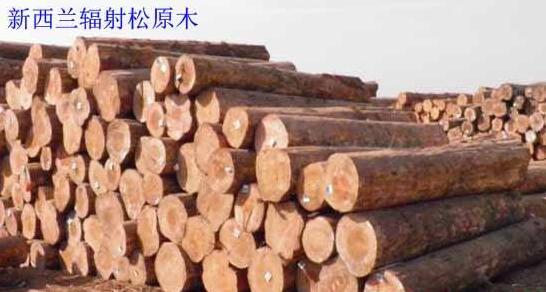 北美木材市場觀察：J級加松報價2100-2320元/m3
