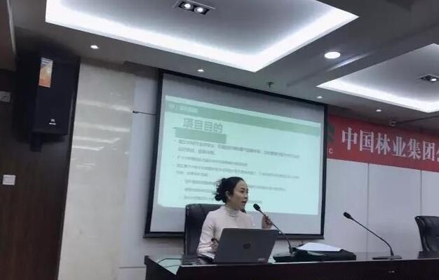 中林木材市場指數(shù)項目啟動會正式召開