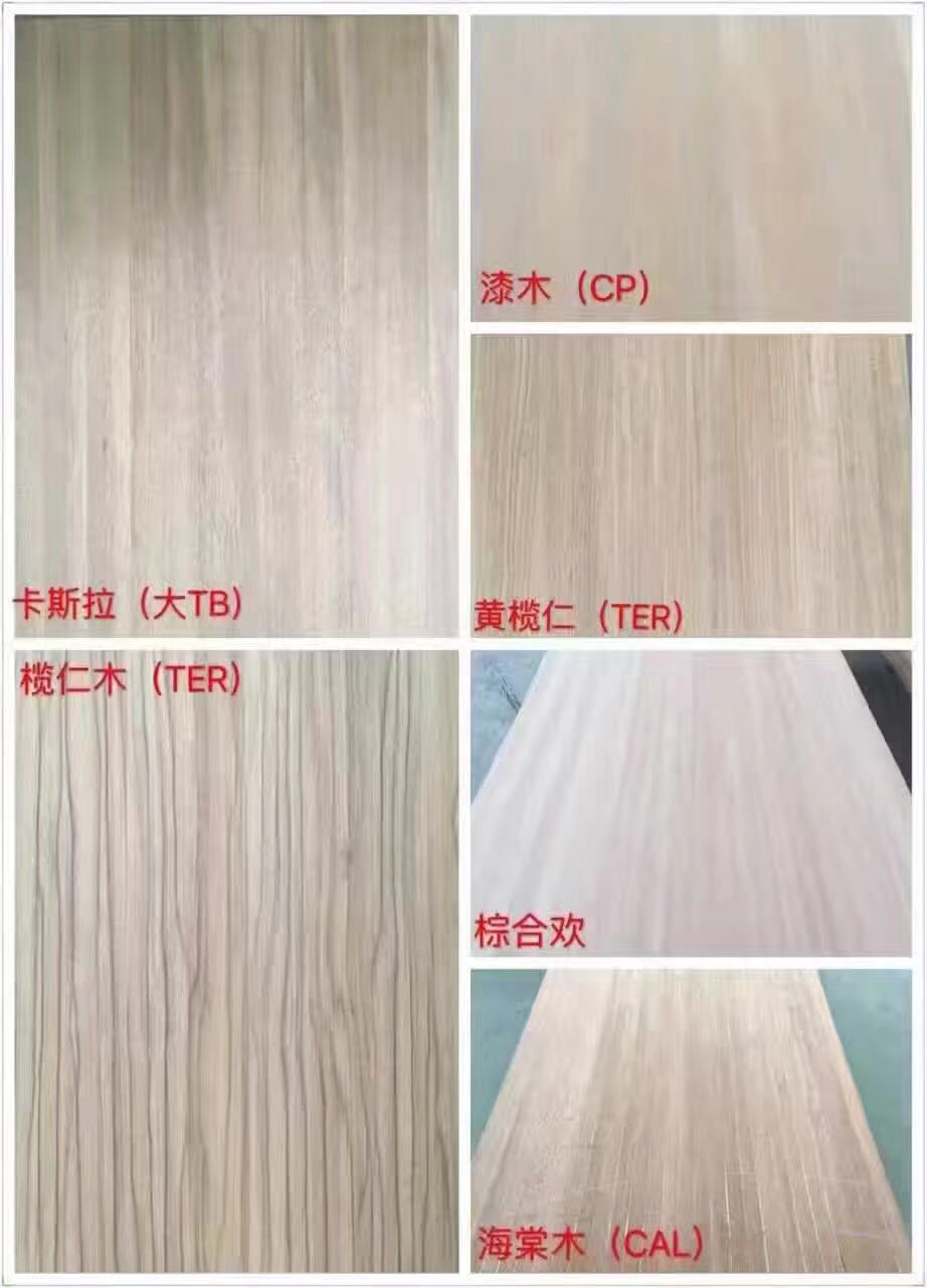 木業推廣特惠