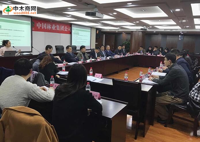 中林木材市場指數項目正式啟動